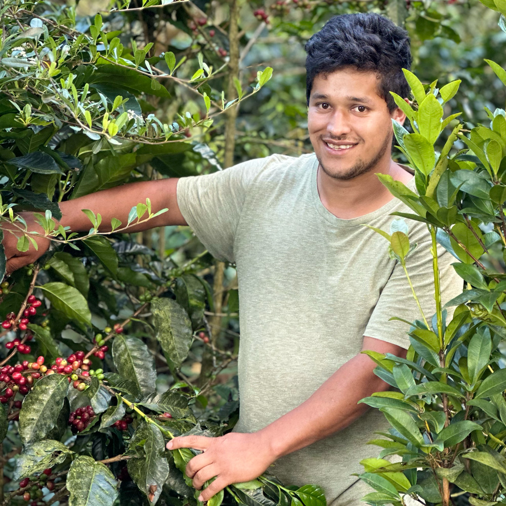 Farmarbeiter-El-Salvador-Coffee-School-Farm