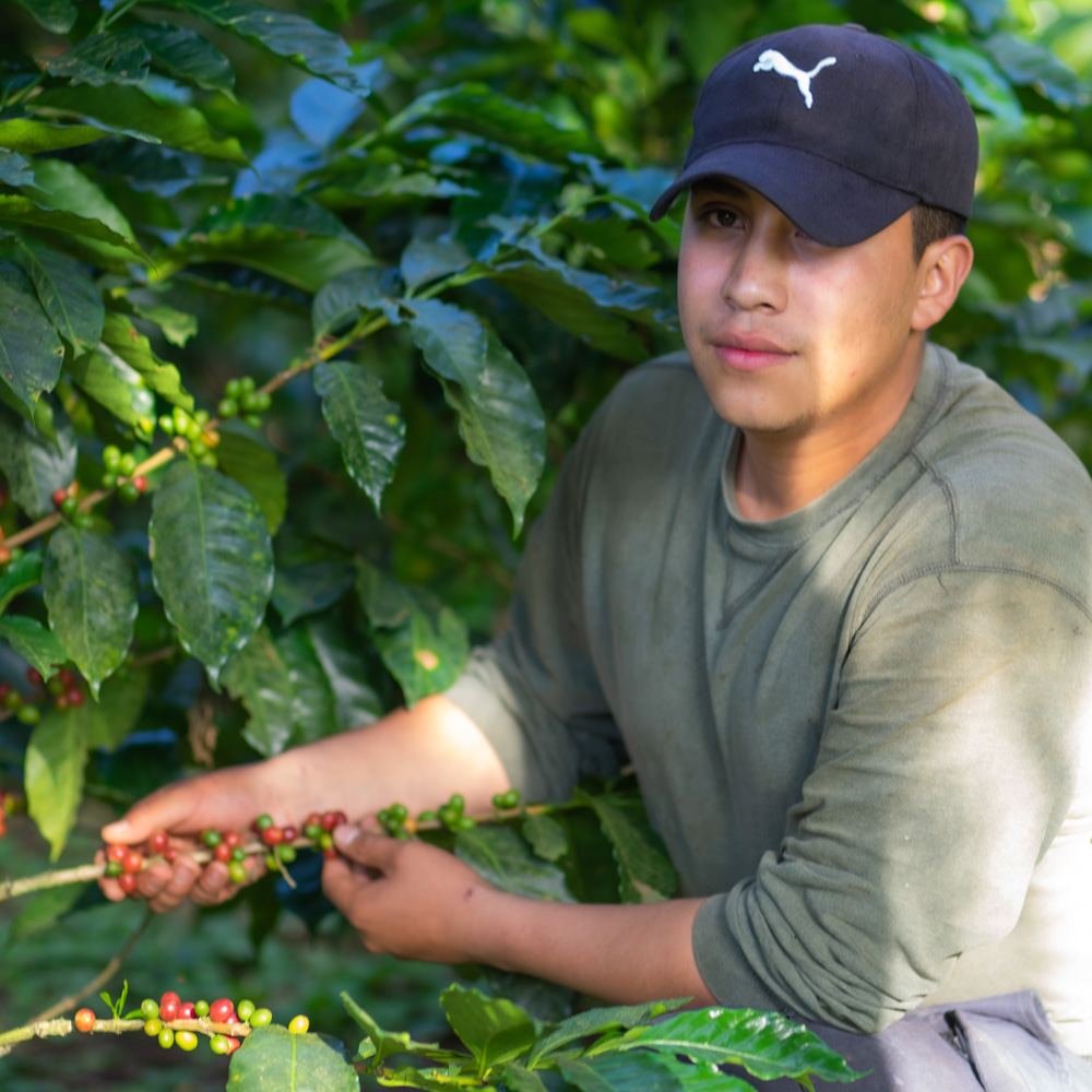 Farmarbeiter-El-Salvador-Coffee-School-Project-Buenos-Aires