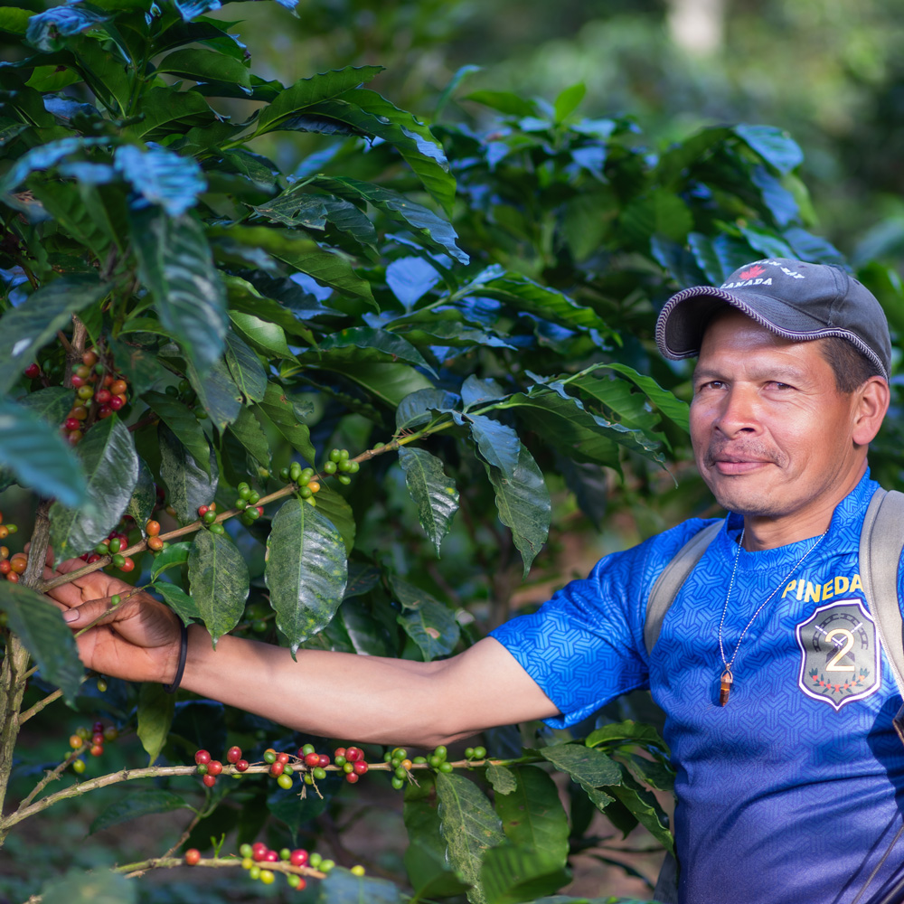 Farmarbeiter-El-Salvador-Coffee-School