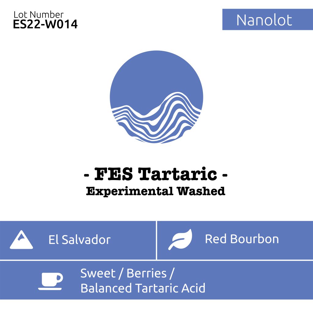 FES Tartic experimental washed