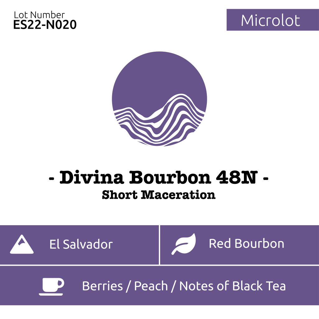 divina bourbon 48N short maceration coffee