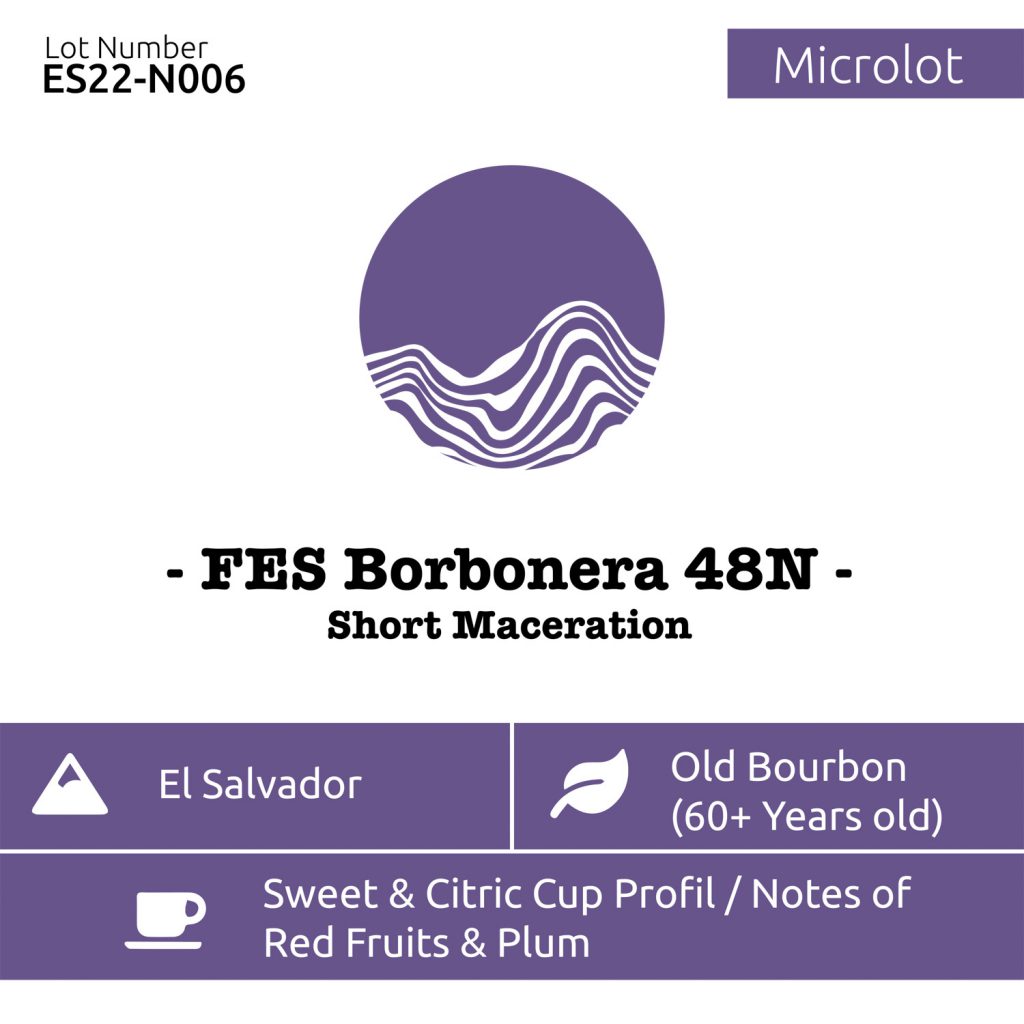 fes borbonera 48n - short maceration