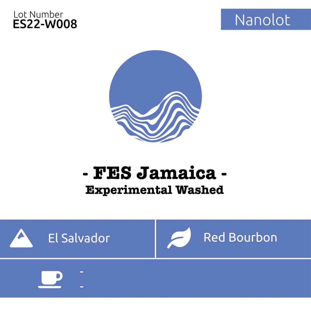 fes jamaica - experimental washed