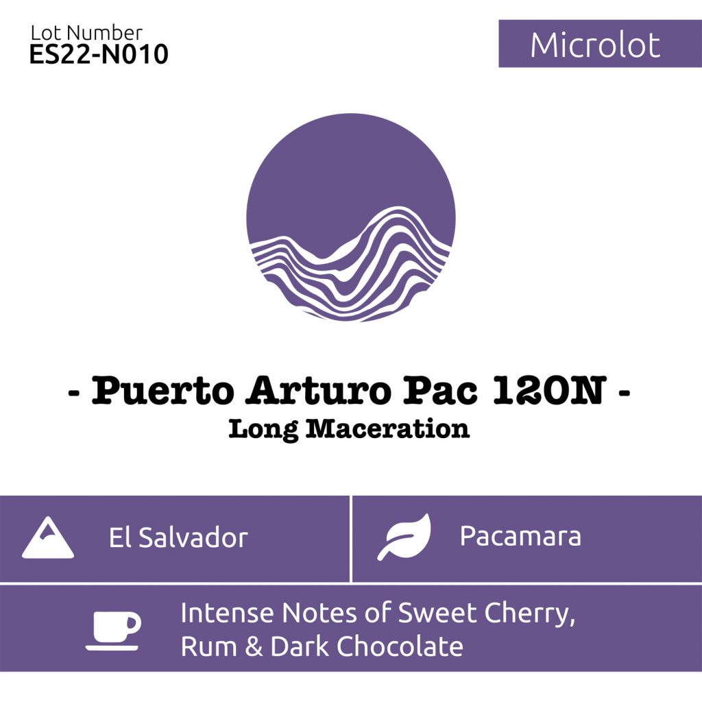 puerto arturo pac 48n - long maceration